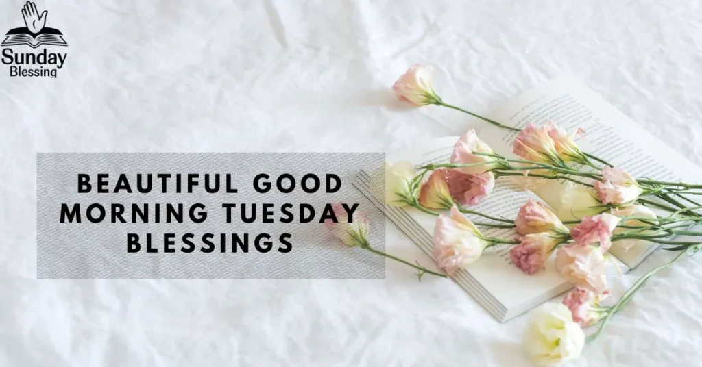 Beautiful Good Morning Tuesday Blessings